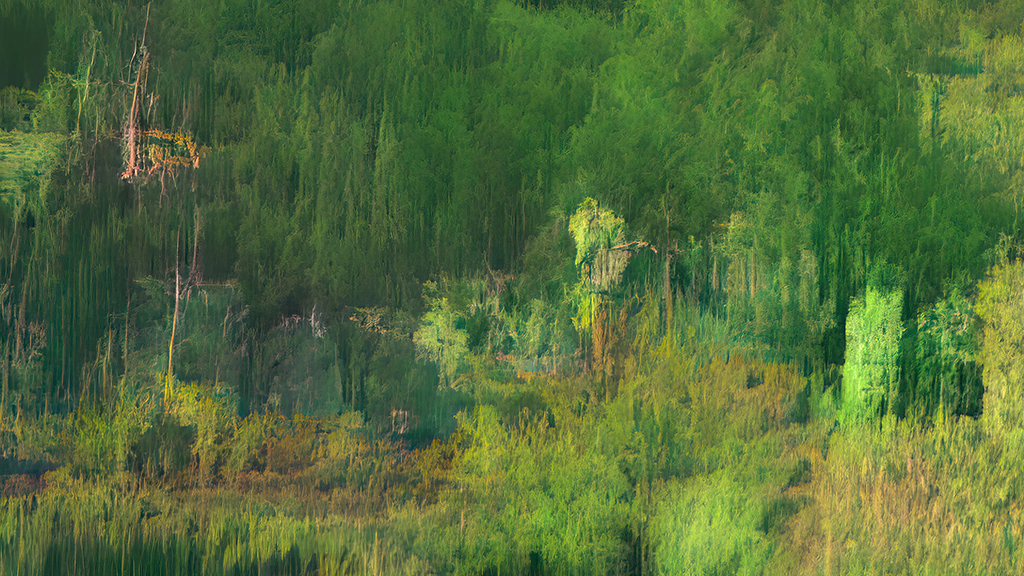 A digital painting of a green glade of woodlands