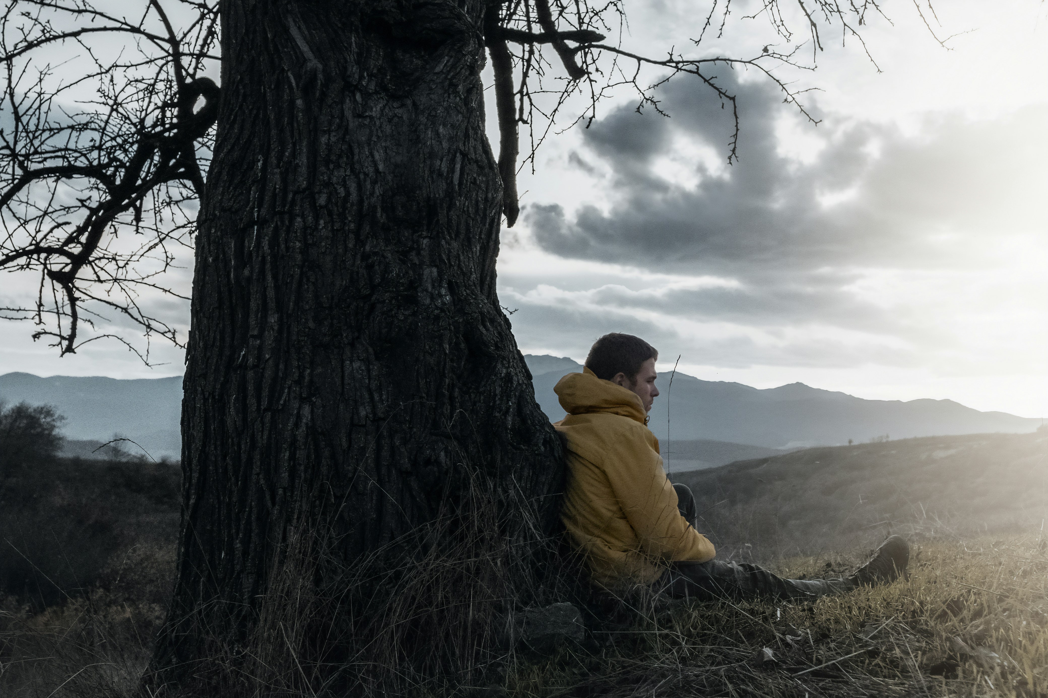 A wrapped-up man sits and leans against a bare tree, as dark clouds give way to sun.