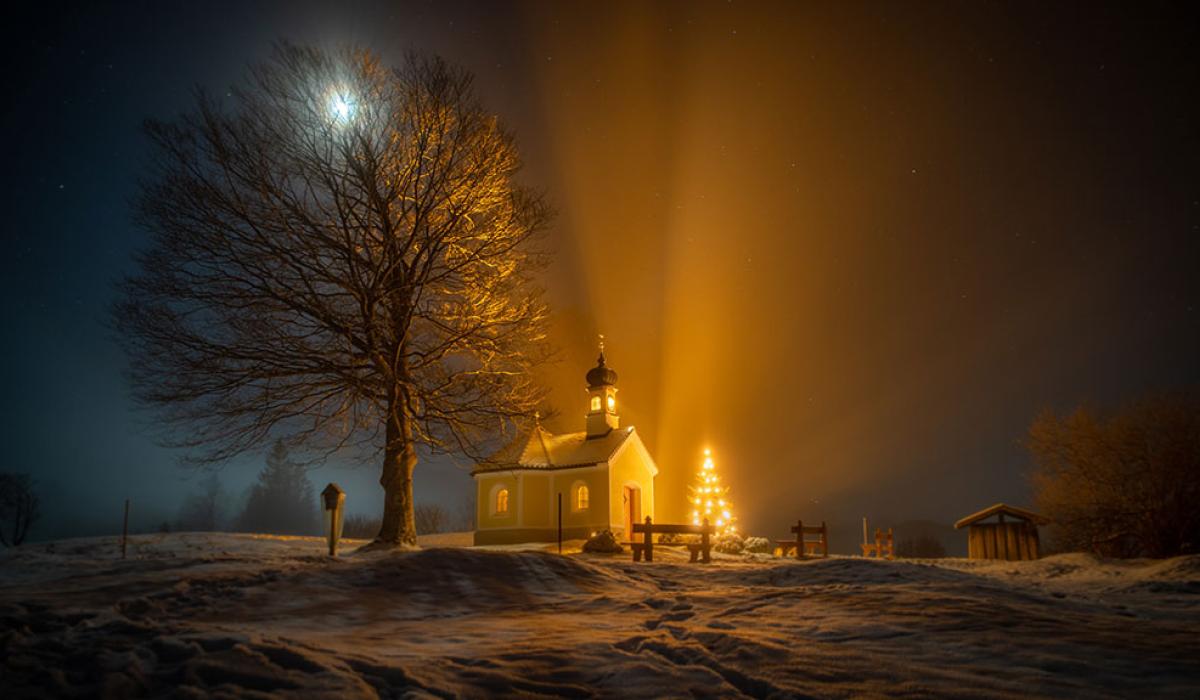 A nocturnal snow-covered scene of a tree, chapel and Christmas tree casting shadows.