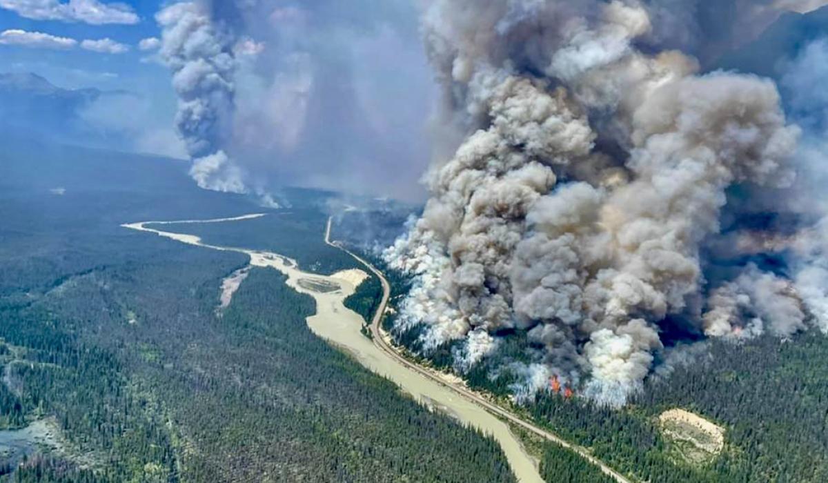 An aerial photography of a huge plume of smoke from a forest fire.