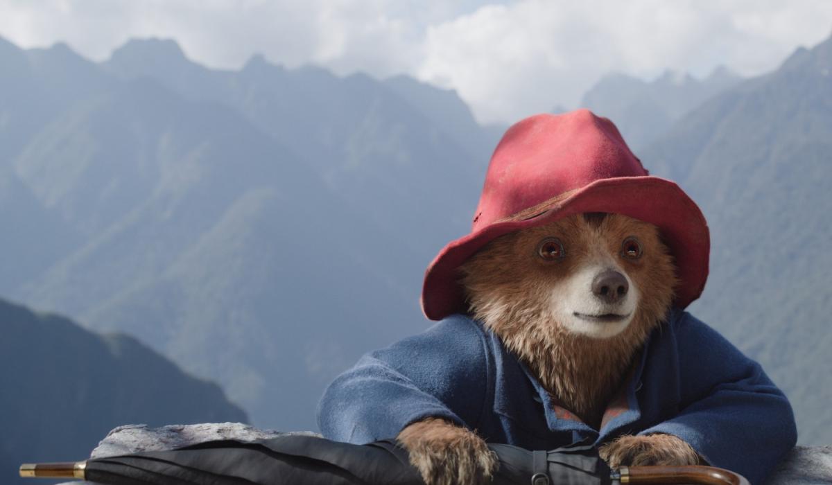 A cartoon bear, wearing a blue duffel coat and red hat, rests his arms on a rock against a mountainous background