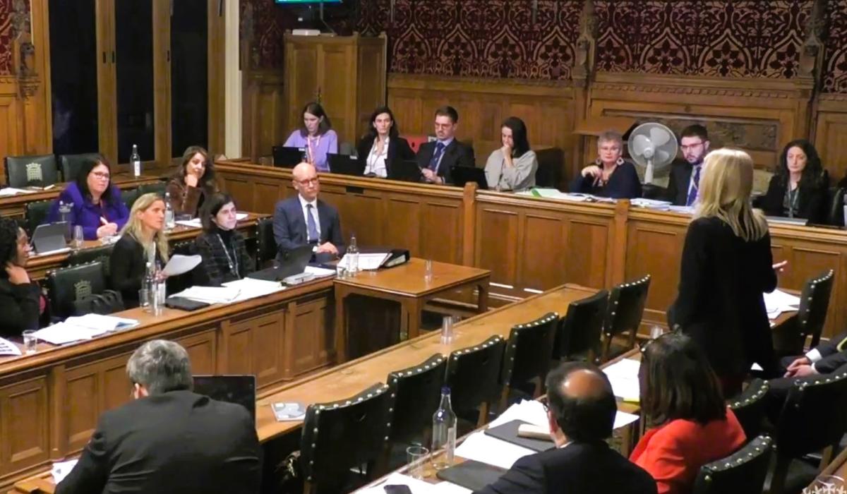 A parliamentary committee meets, sitting at wooden raised desks in a wood panelled room.