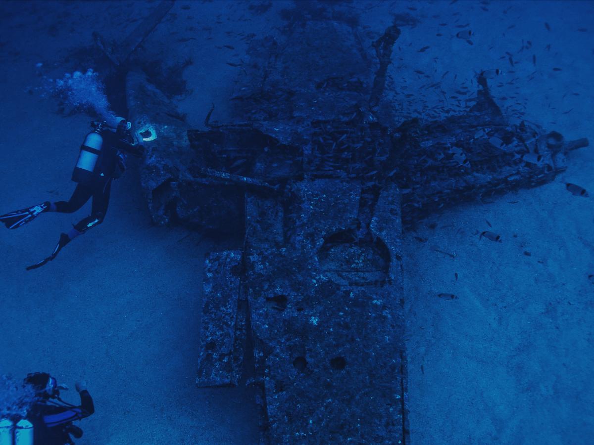 A diver swims above a crashed plane lying on the sea bed.