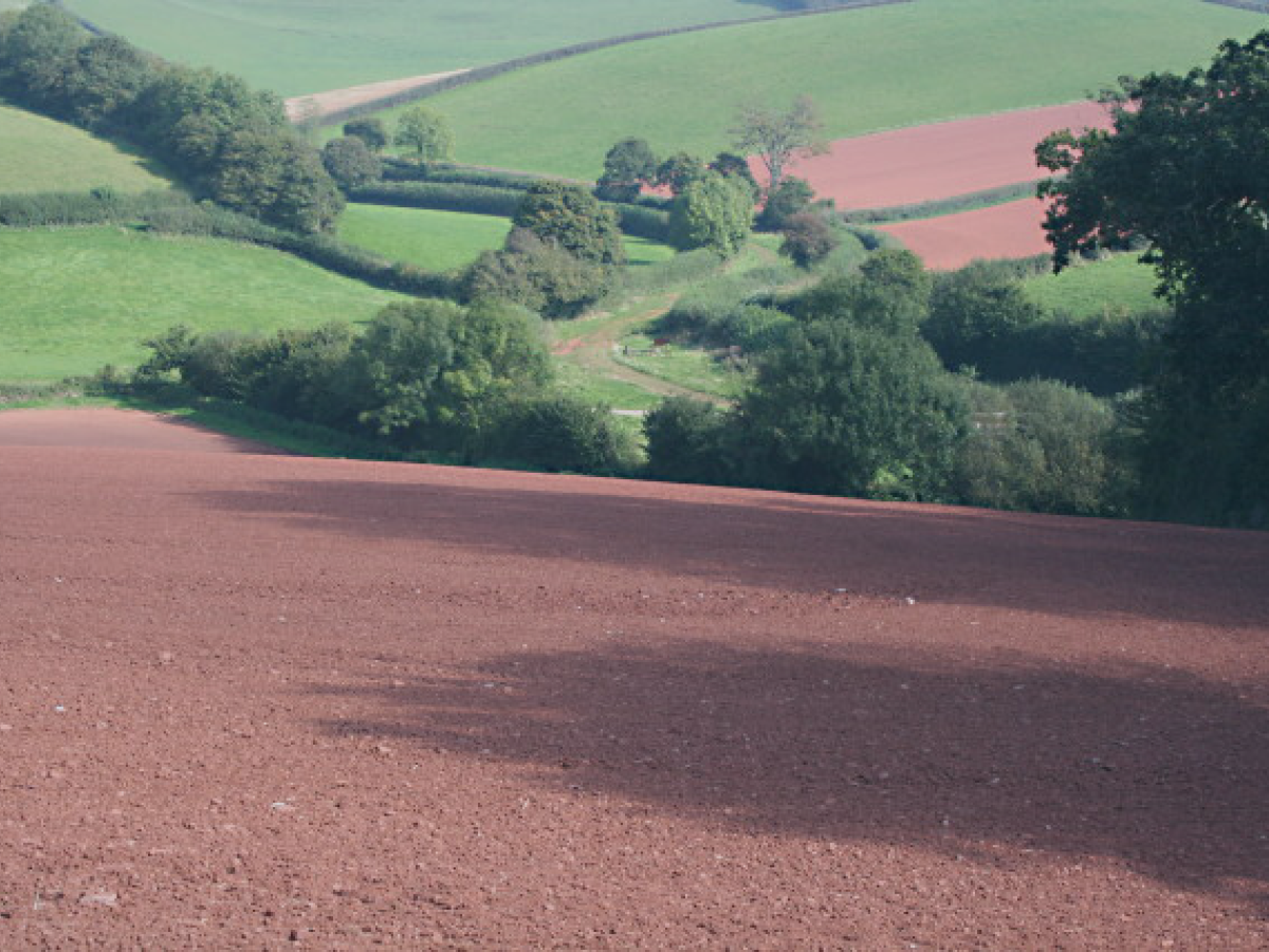 A ploughed field of red soil is in the foreground, sloping down into a valley with a track and green fields beyond