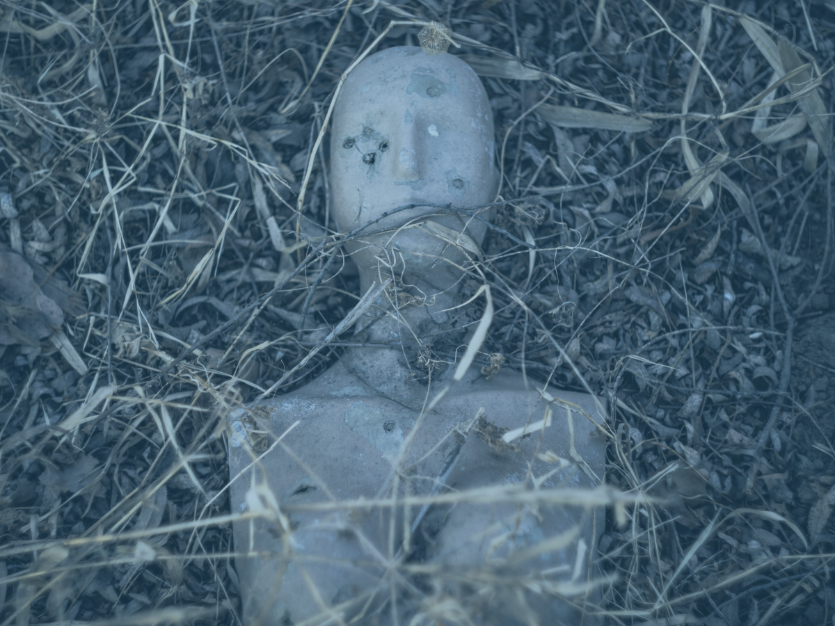 The head and torso of a mannequin lie abandoned in undergrowth