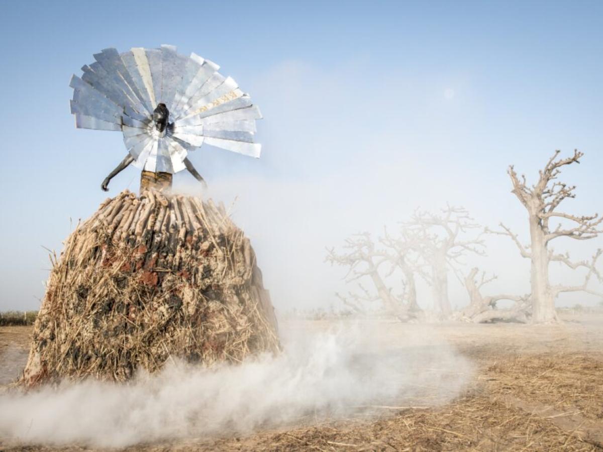 A photo-realistic work of art depicting a fiigure raised on fire wood wearing a colour of large metal rays, against a desertifying landscape of dead trees.