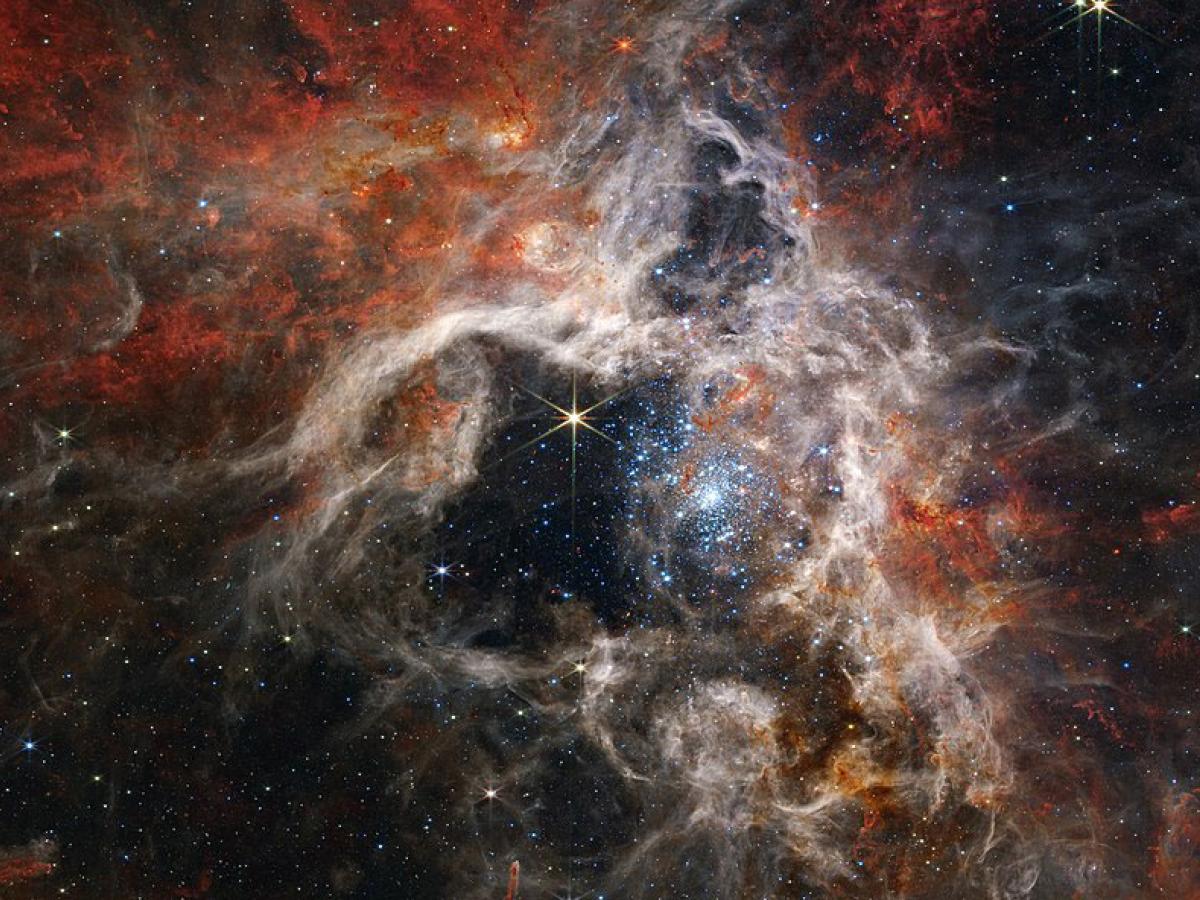 A star nebula of gas clouds and stars.