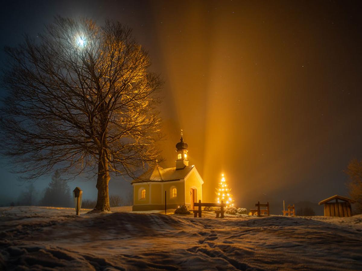 A nocturnal snow-covered scene of a tree, chapel and Christmas tree casting shadows.