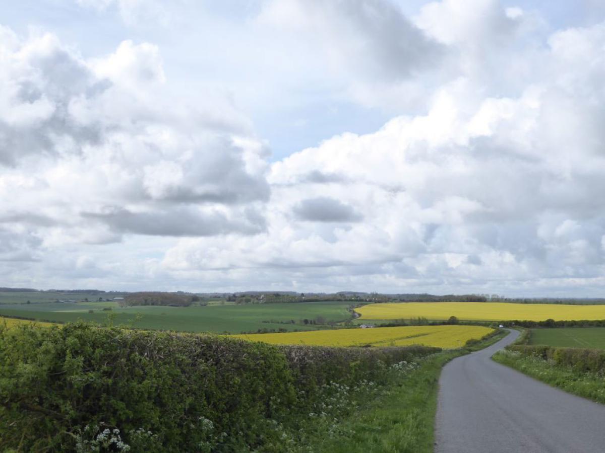 A country lane runs down a gentle hill between green and yellow fields under a cloud dappled sky.