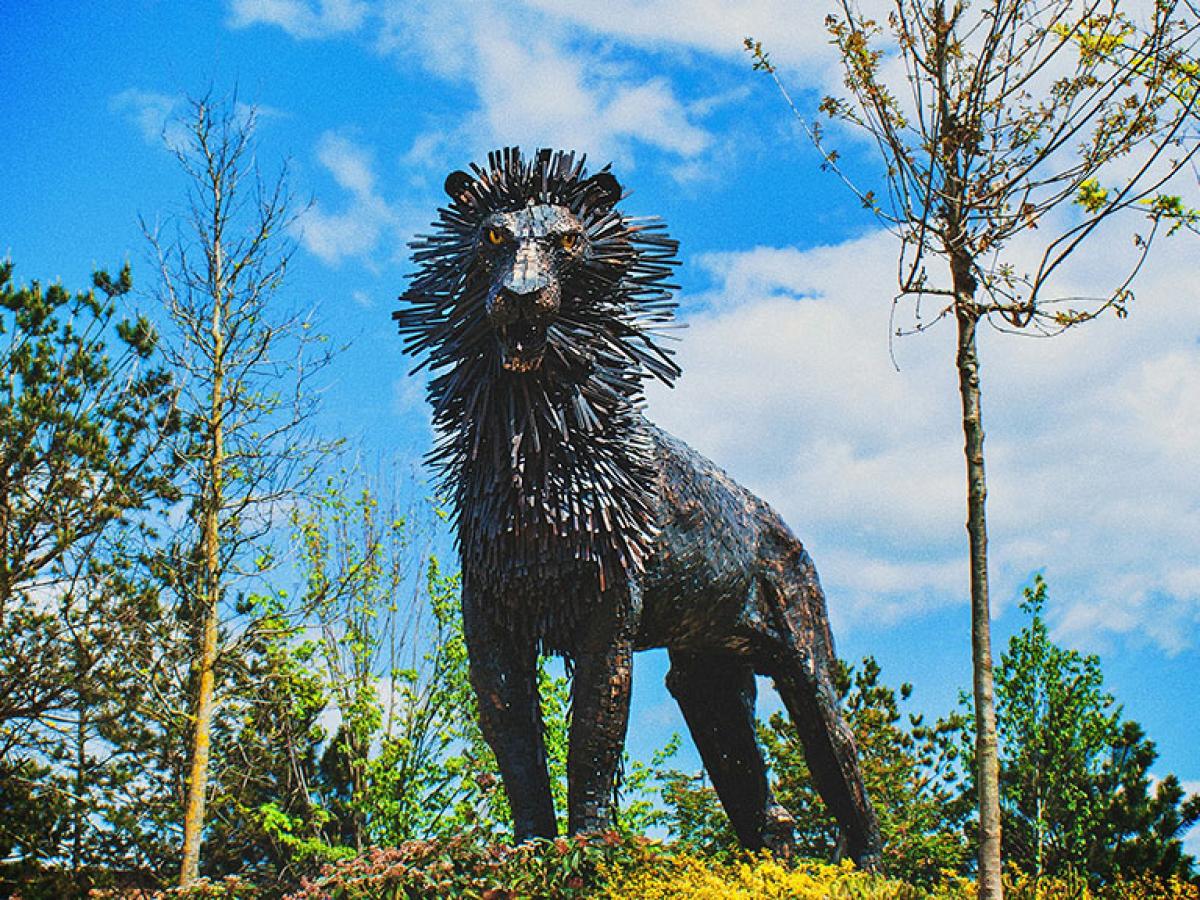 A steel sculpture of a male lion.