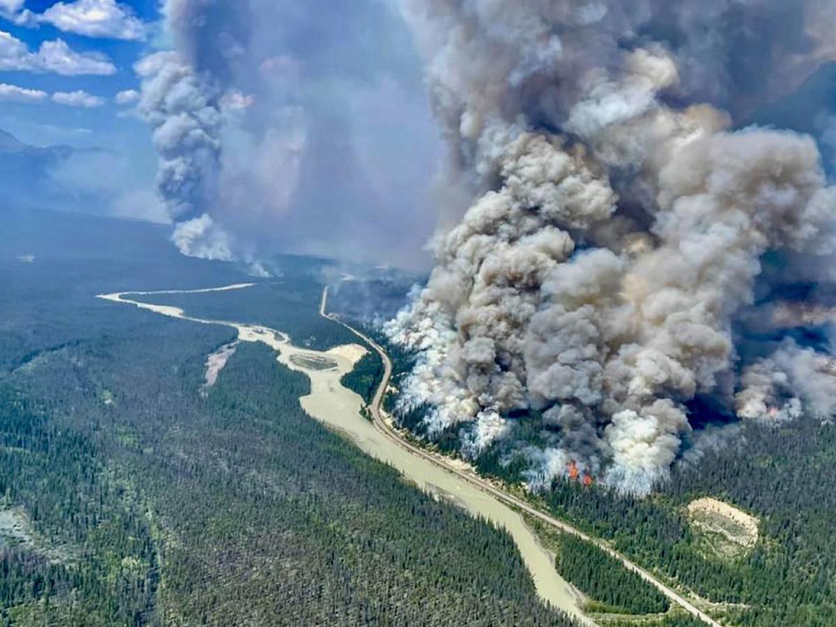 An aerial photography of a huge plume of smoke from a forest fire.