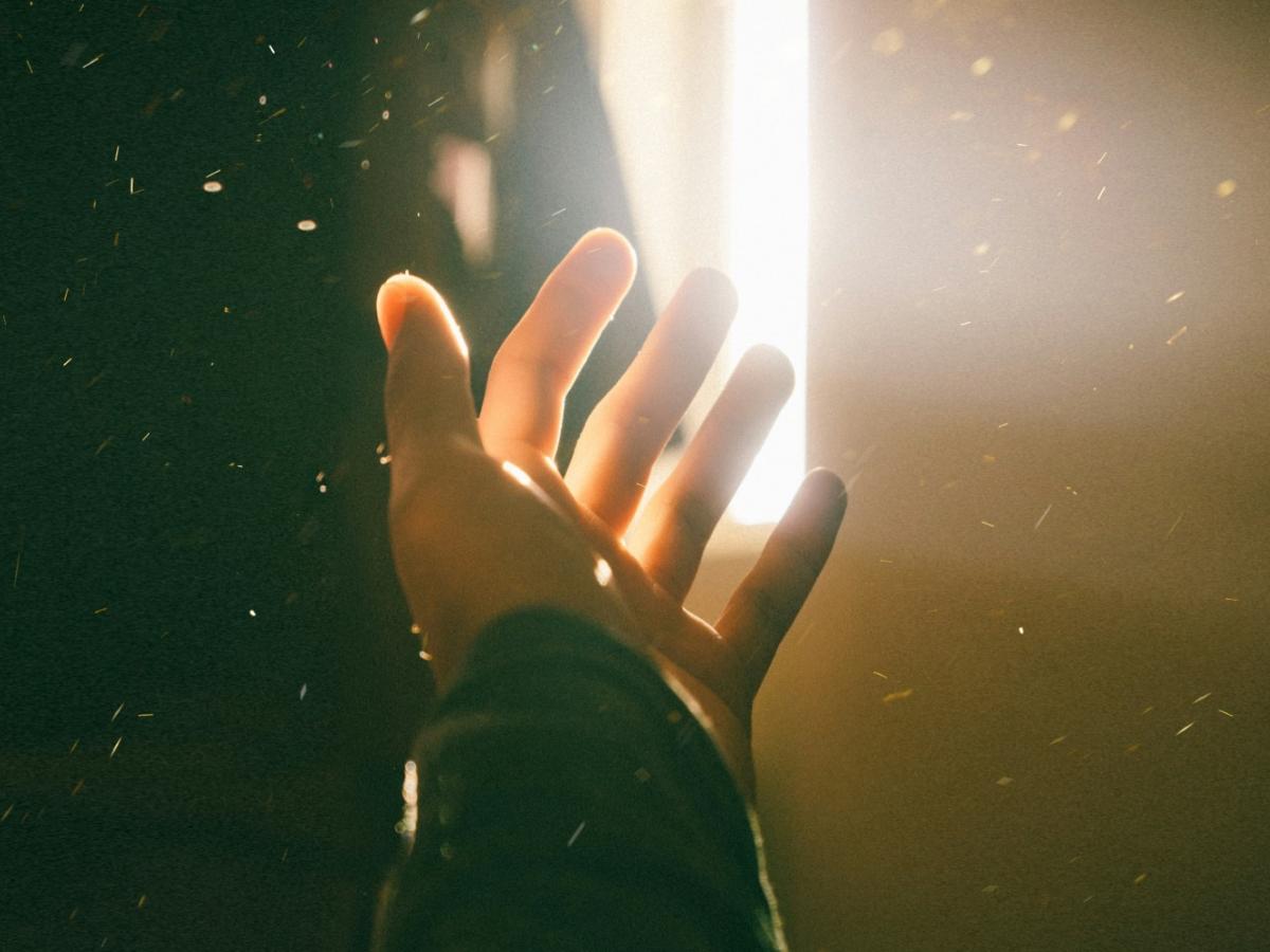 A open hand is held out and up towards a strong source of light