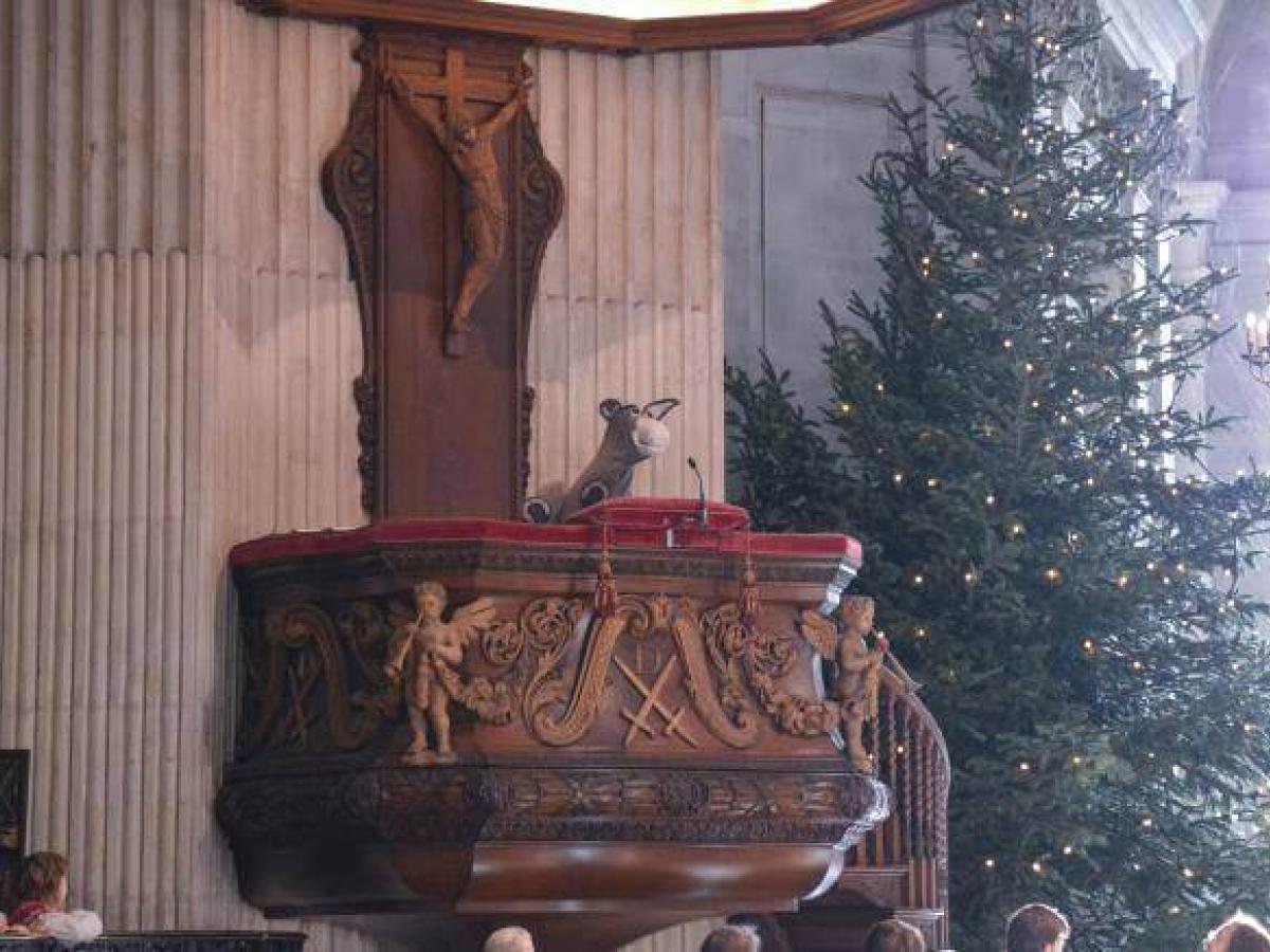 A puppet donkey peaks over the edge of a cathedral pulpit