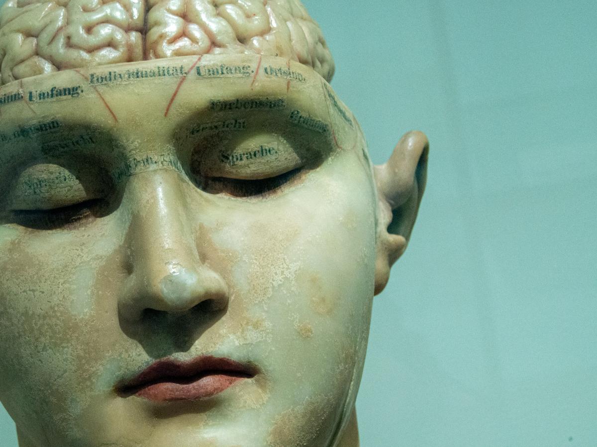 A phrenology head is shown with its eyes closed.