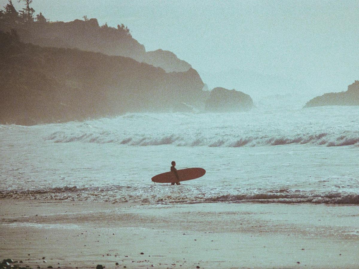 A sufer carries a longboard into the waves