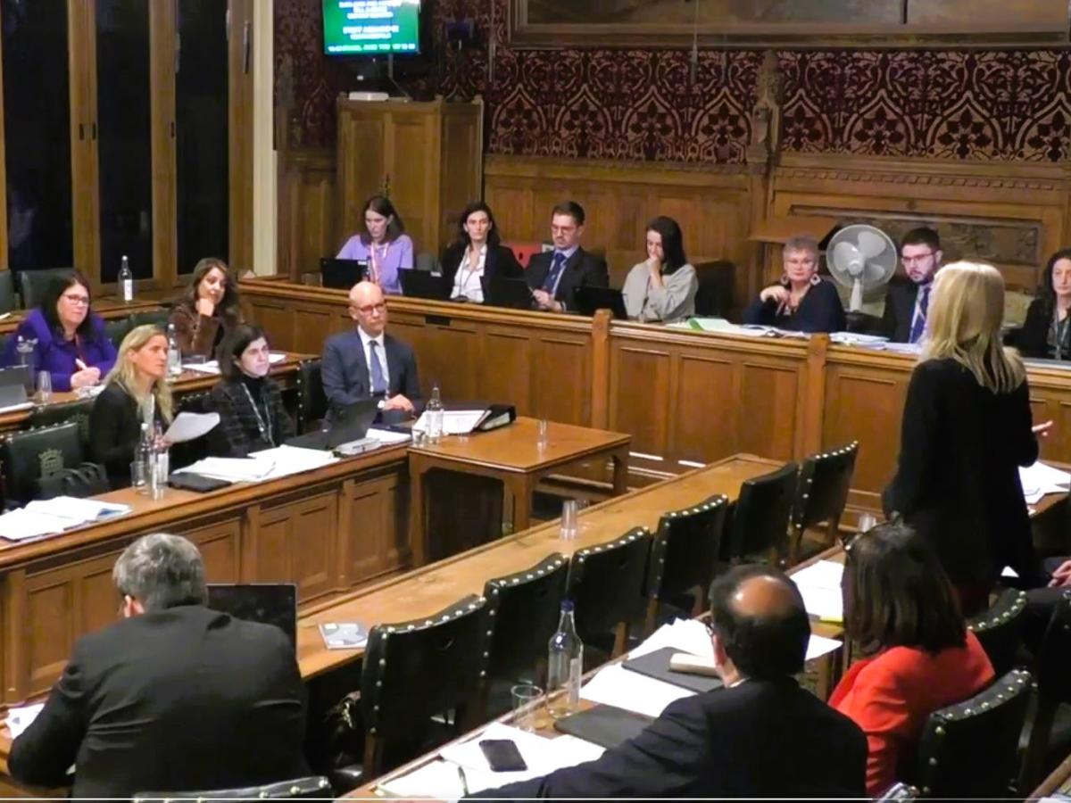 A parliamentary committee meets, sitting at wooden raised desks in a wood panelled room.