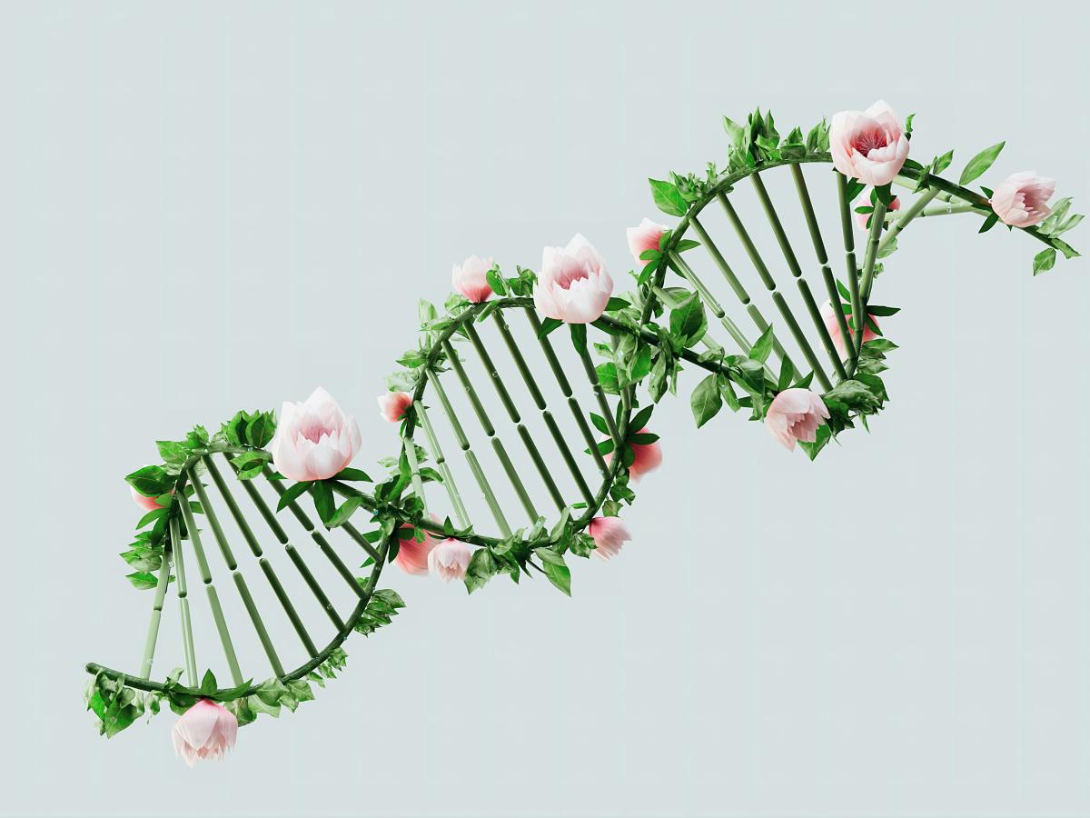 An artistic visualisation of a DNA strand growing flowers from it.