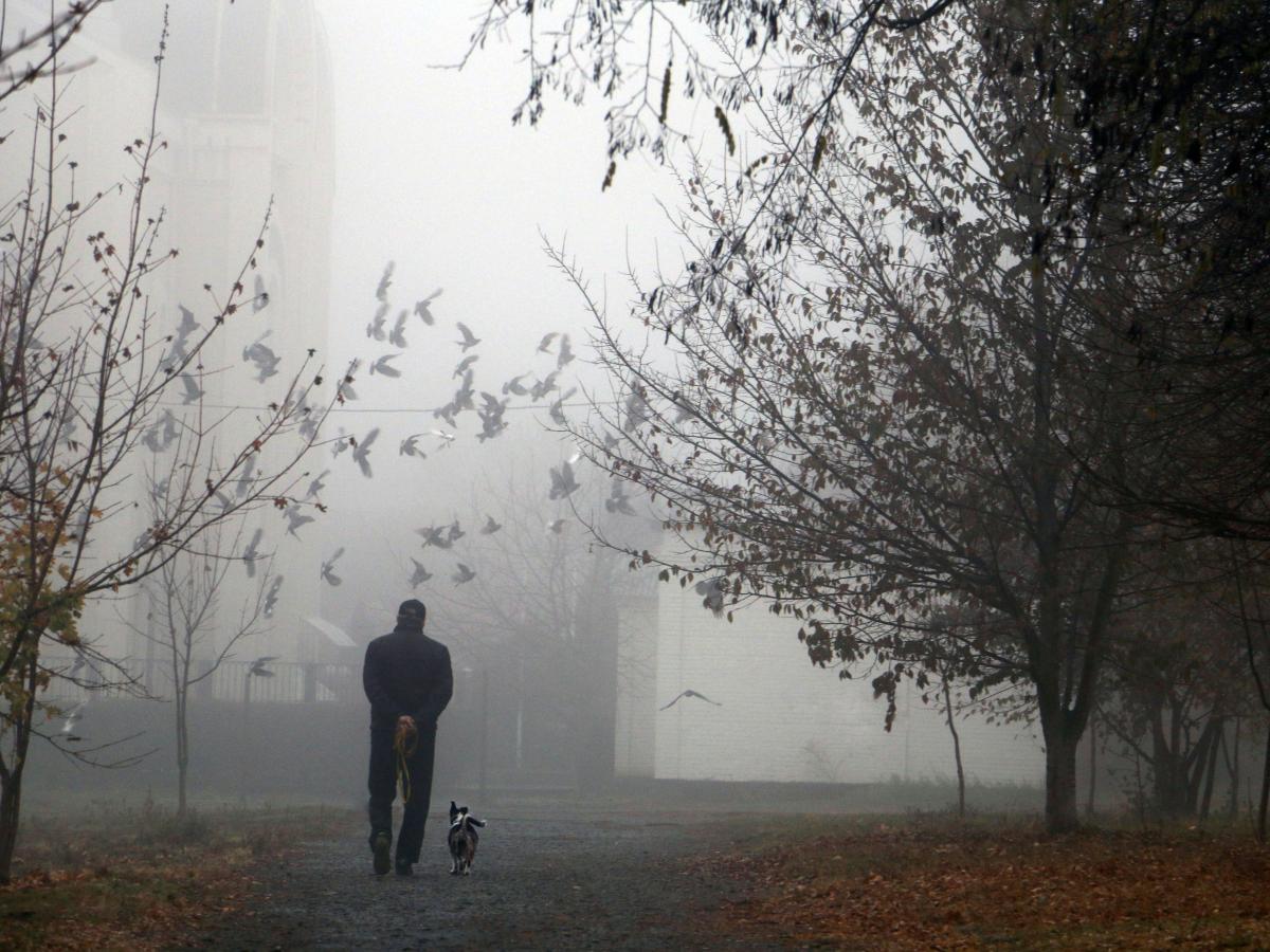 A man walks a dog along a misty city park path.