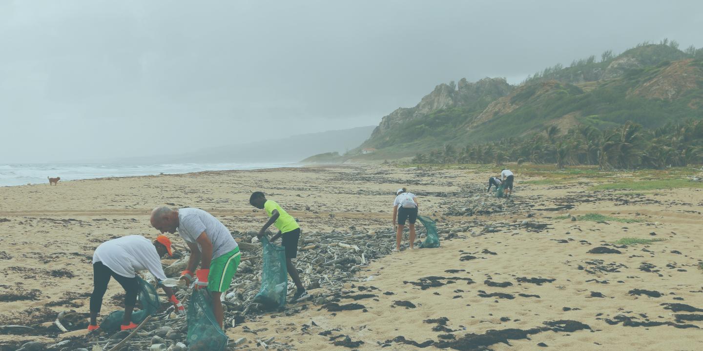 On a misty beach, people comb the tide line to remove rubbish.