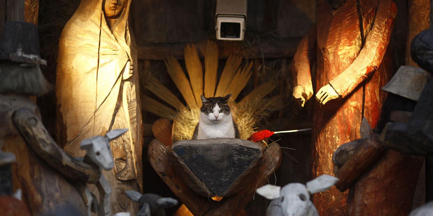 A nativity seen with wooden figures and hay, amidst which a cat sits in the manger.