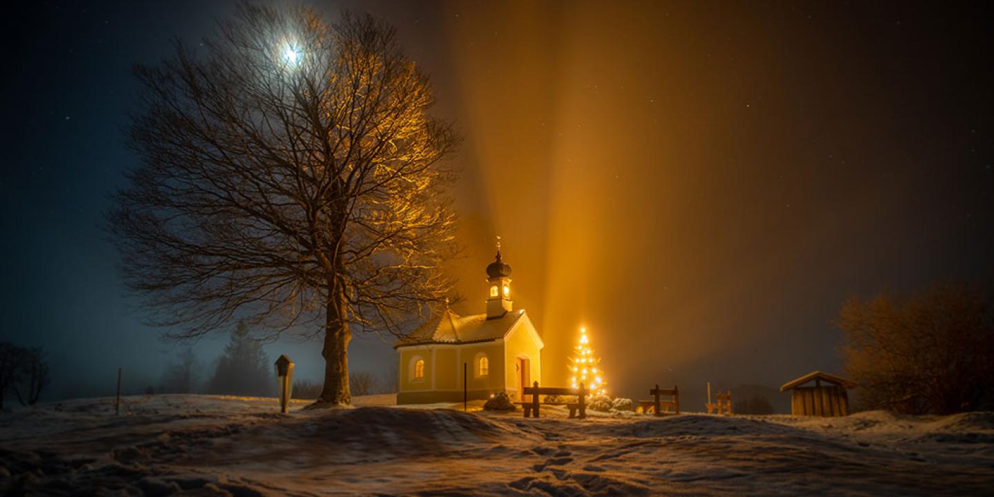 A nocturnal snow-covered scene of a tree, chapel and Christmas tree casting shadows.