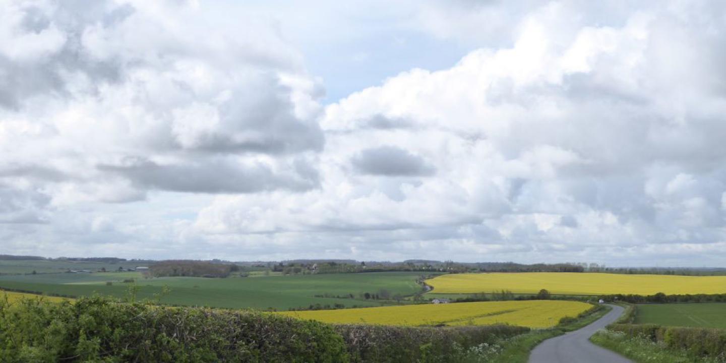 A country lane runs down a gentle hill between green and yellow fields under a cloud dappled sky.