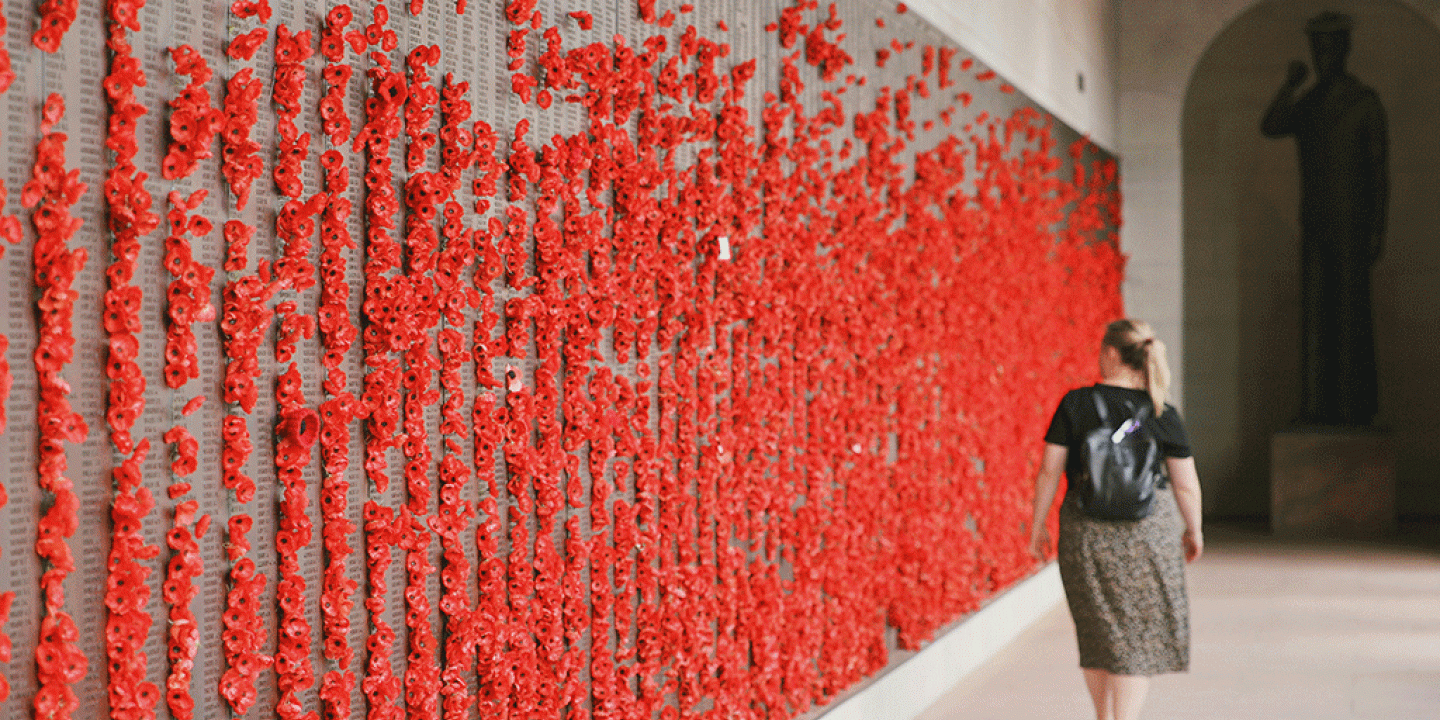 A woman walls along a war memorial wall covered in red poppies.