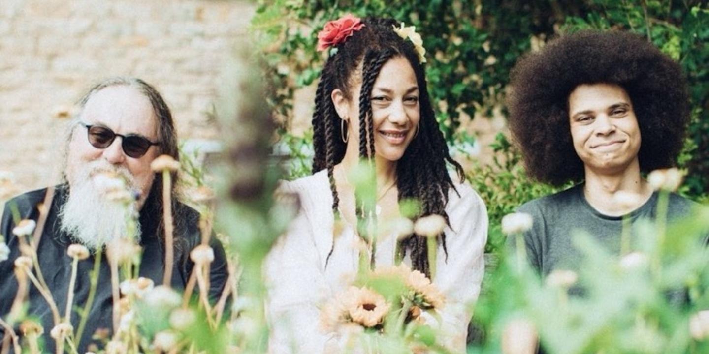 three folk musicians face the camera across a meadow