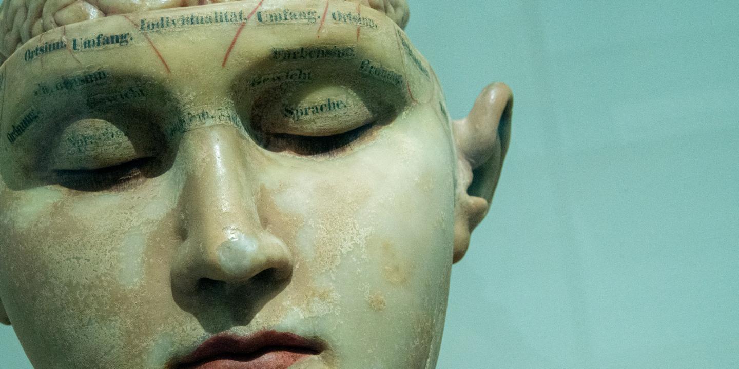 A phrenology head is shown with its eyes closed.