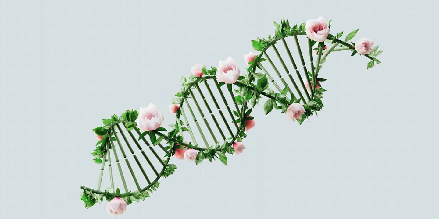 An artistic visualisation of a DNA strand growing flowers from it.