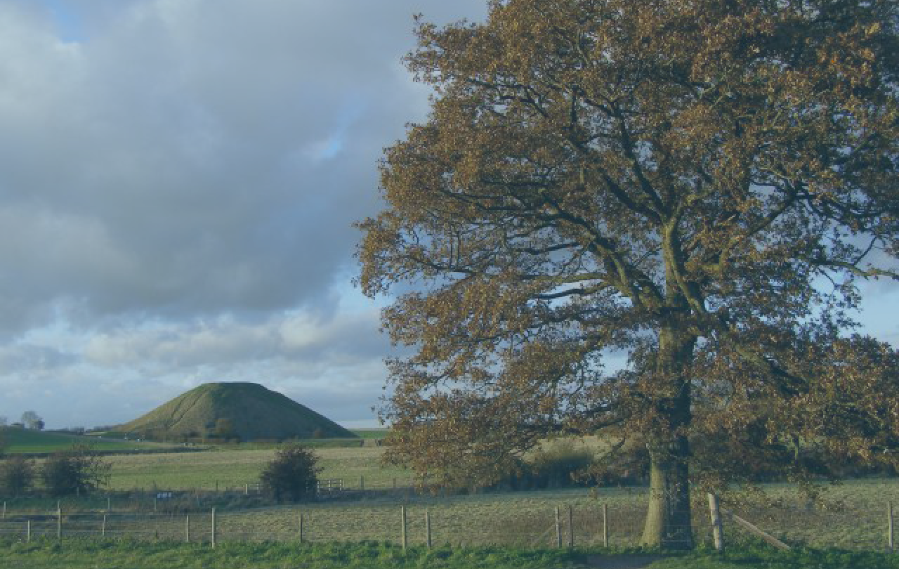 An oak tree stands over a field and fence, behind which, in the distance, rises a man made hill with a flat top.