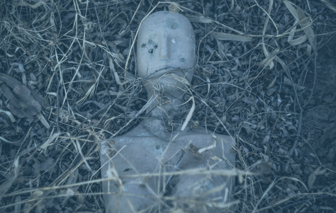 The head and torso of a mannequin lie abandoned in undergrowth