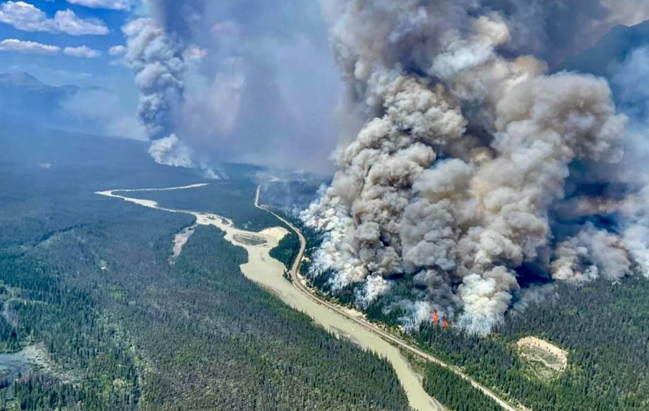 An aerial photography of a huge plume of smoke from a forest fire.