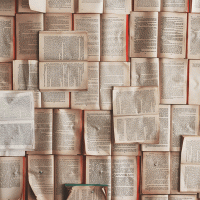 Pages from books are pinned across wall.