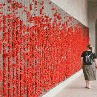 A woman walls along a war memorial wall covered in red poppies.