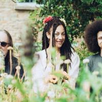 three folk musicians face the camera across a meadow