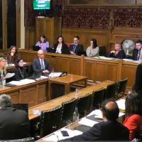 A parliamentary committee meets, sitting at wooden raised desks in a wood panelled room.